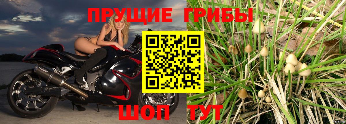 Ликино-Дулёво  Псилоцибиновые грибы GOLDEN TEACHER  Вход с VPN  Галлюциногенные грибы мухоморы 